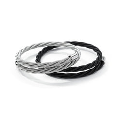 Silver & Black Bass Duo